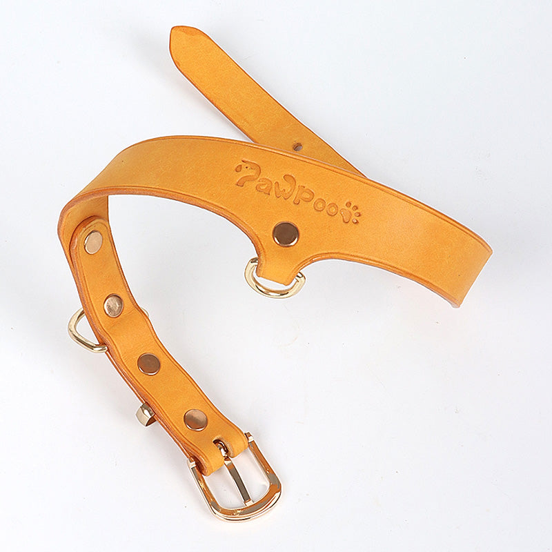 Leather Dog Collar