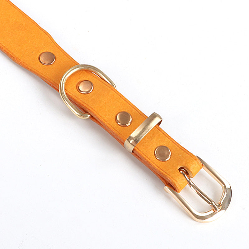 Leather Dog Collar