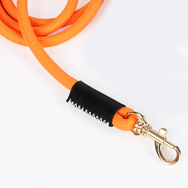 Leather Dog Leash
