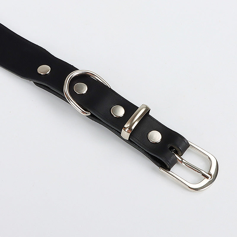 Leather Dog Collar
