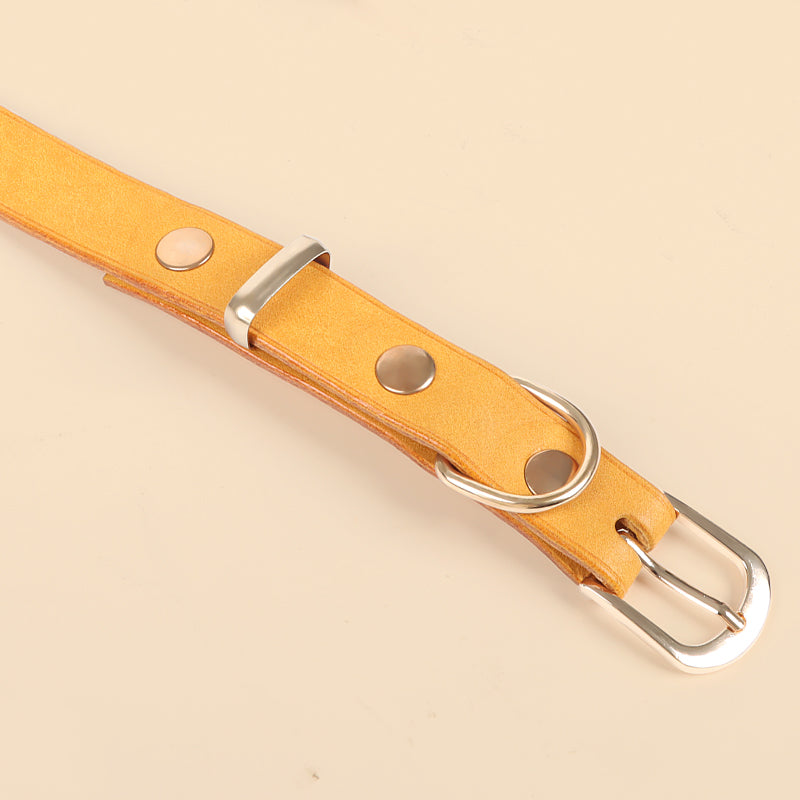 Leather Dog Collar
