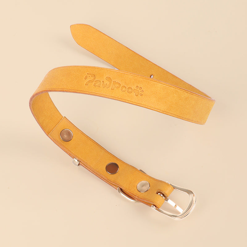 Leather Dog Collar