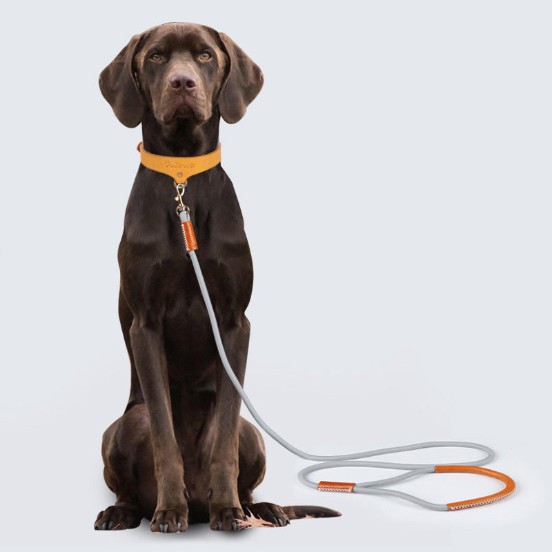 Leather Dog Leash