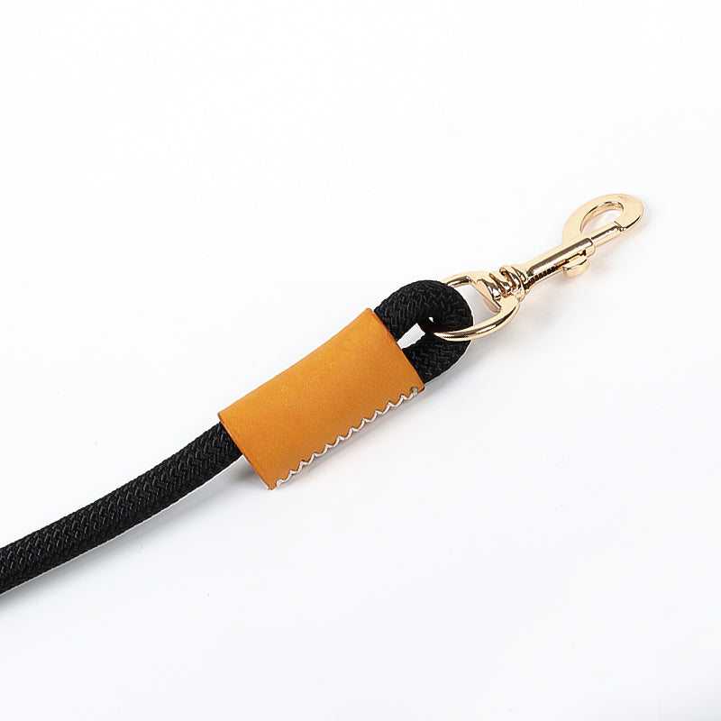Leather Dog Leash