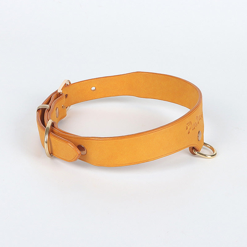 Leather Dog Collar