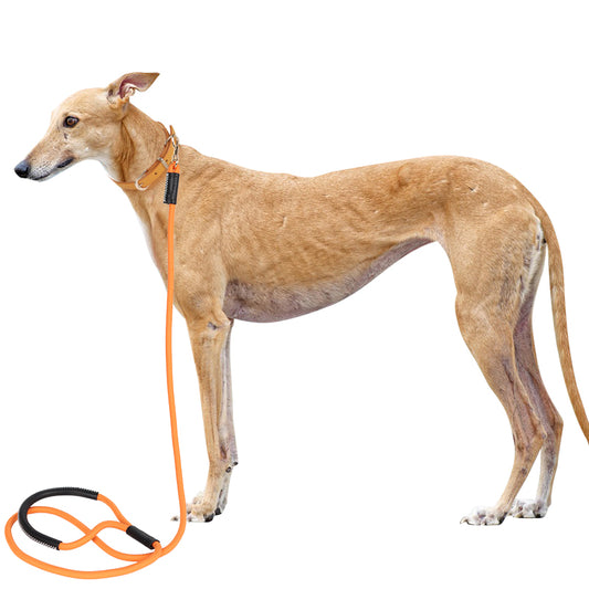 Leather Dog Leash