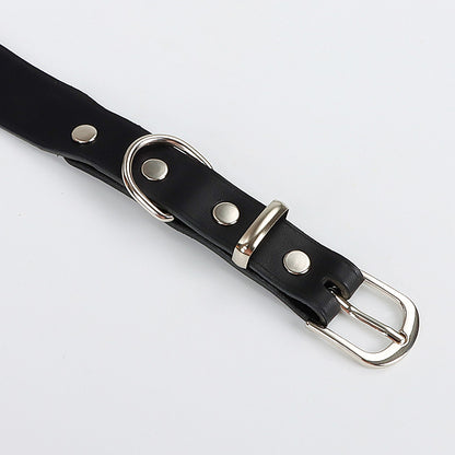Leather Dog Collar