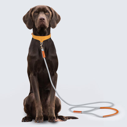 Leather Dog Leash